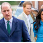 William’s ‘nightmare’ with Harry and Meghan could damage his work