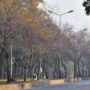 Cold and dry weather expected in most parts of country: PMD