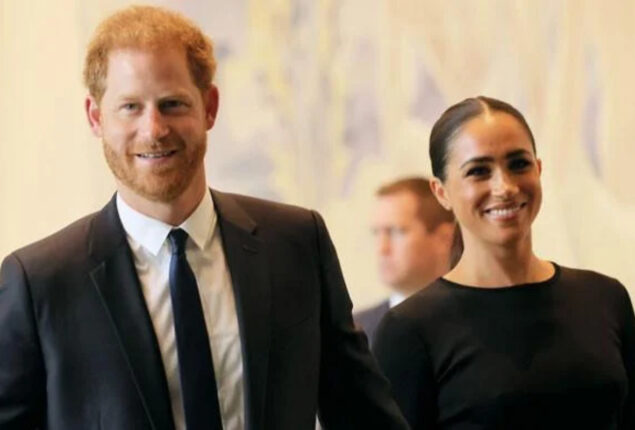 Prince Harry, Meghan slammed for holding on to royal titles after docuseries