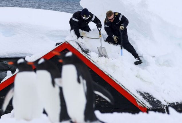 Antarctic snow