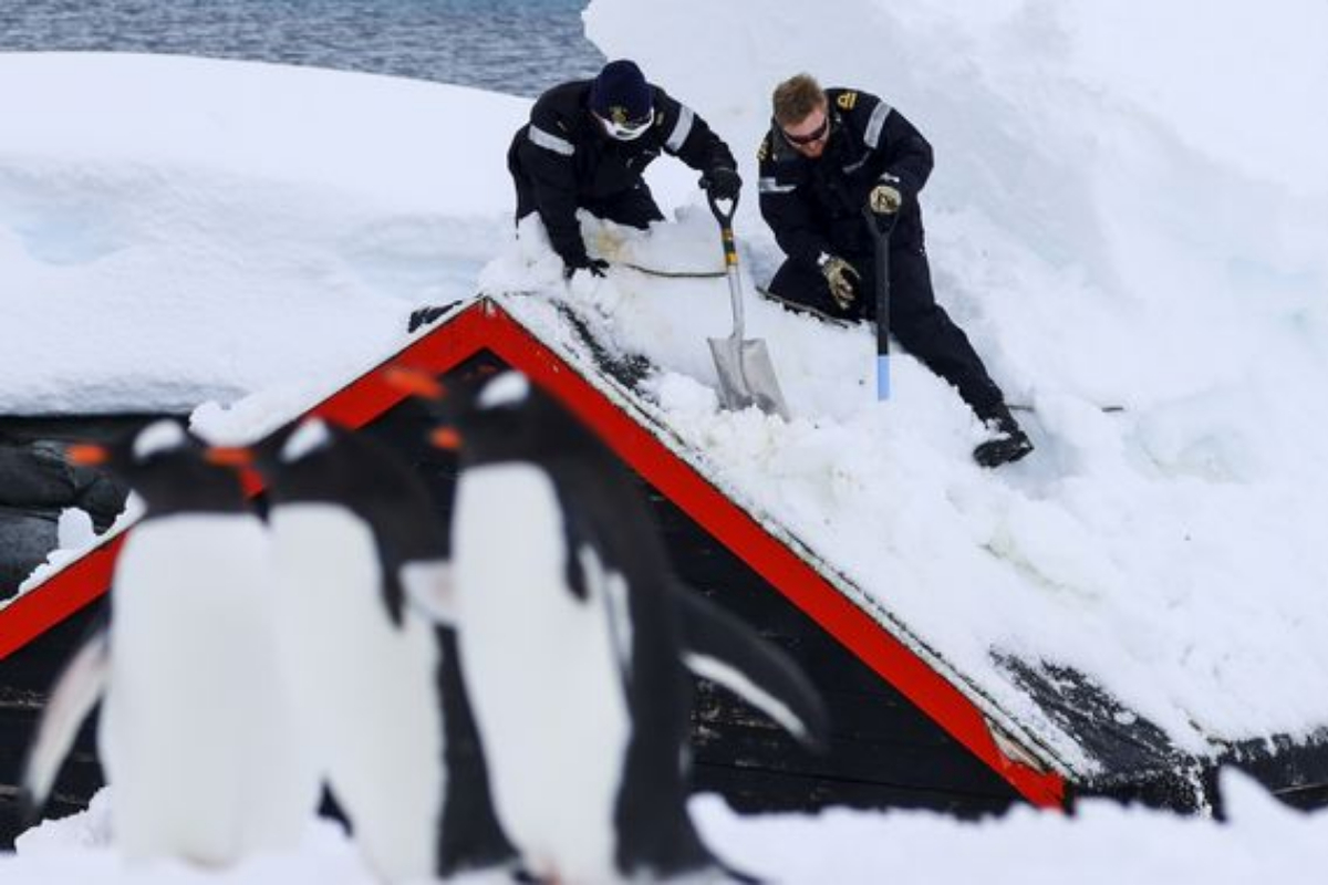 Antarctic snow