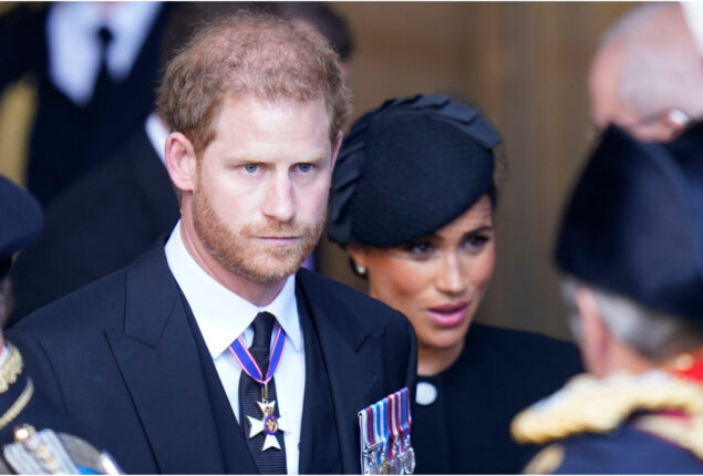 Prince Harry discusses royal hierarchy and Meghan Markle