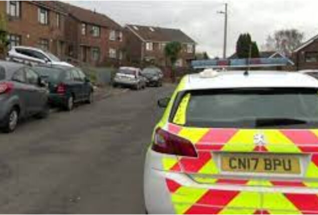 woman attacked by dog in Caerphilly