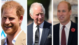 Everything You Need to Know About King Charles Two Children, Prince William and Prince Harry