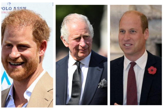Everything You Need to Know About King Charles Two Children, Prince William and Prince Harry