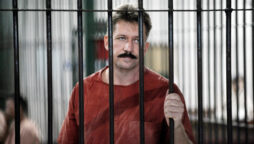 Viktor Bout's