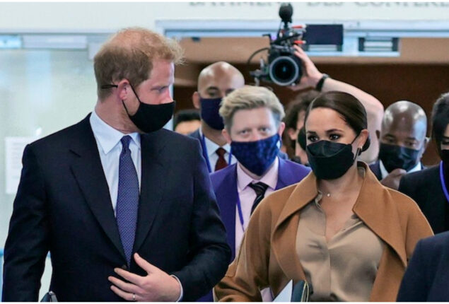 Prince Harry, Meghan Markle enjoys limelight due to royal blood
