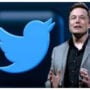 Twitter Ex employees sue Elon Musk for mass layoffs