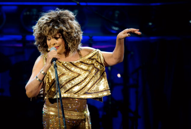Tina Turner grieves the death of her “loving” son Ronnie