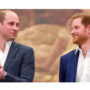 Prince William hurts as Prince Harry ignores his plea