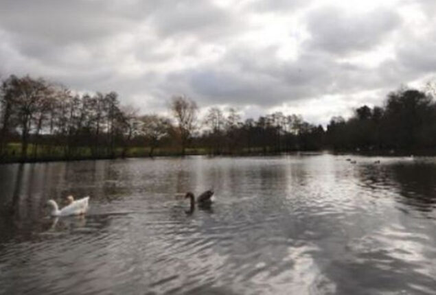 Solihull freezing lake survivors found; more still missing