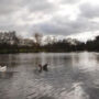 Solihull freezing lake survivors found; more still missing