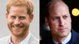 Prince William concerned with title of Prince Harry’s memoir