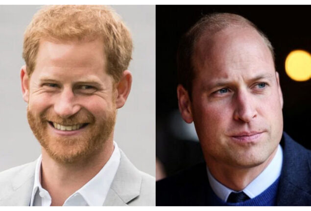 Prince William concerned with title of Prince Harry’s memoir