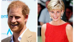 Prince Harry thought Princess Diana had faked her death