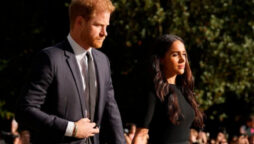 Prince Harry