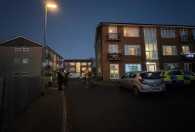 Probe launches after woman and 2 children died in Kettering