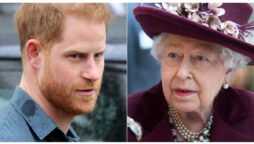 Prince Harry slammed for calling Queen Elizabeth II ‘puppet’