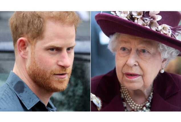 Prince Harry slammed for calling Queen Elizabeth II ‘puppet’