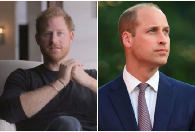 Prince Harry reacts ‘childlike’ to William’s text in Netflix doc
