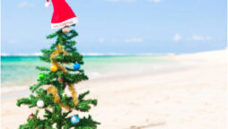 Christmas 2022