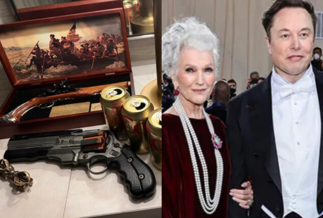 Elon Musk mom reports gun with 2 bullets threat