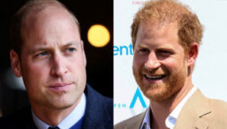 Prince William’s silence after Harry and Meghan’s show