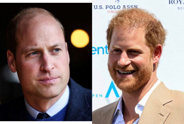 Prince William’s silence after Harry and Meghan’s show