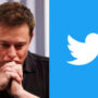 Elon Musk: Twitter users support the resignation of the boss