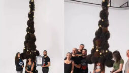 9-feet tall hairstyle set a world record: Watch