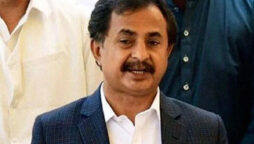 PPP is trying to buy Punjab’s MPAs: Haleem Adil Sheikh 