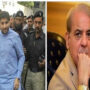 IHC restrains NAB to arrest PM’s son-in-law Haroon Yusuf Aziz