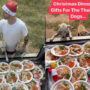 Thailand guy cooks and gifts stray dogs on Christmas – Watch