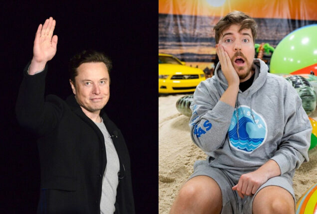 Elon Musk accepts Mr Beast’s first move as Twitter CEO