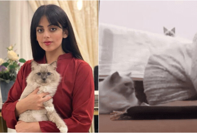 Yashma Gill criticized on her ‘Namaz’ video with cats