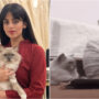 Yashma Gill criticized on her ‘Namaz’ video with cats