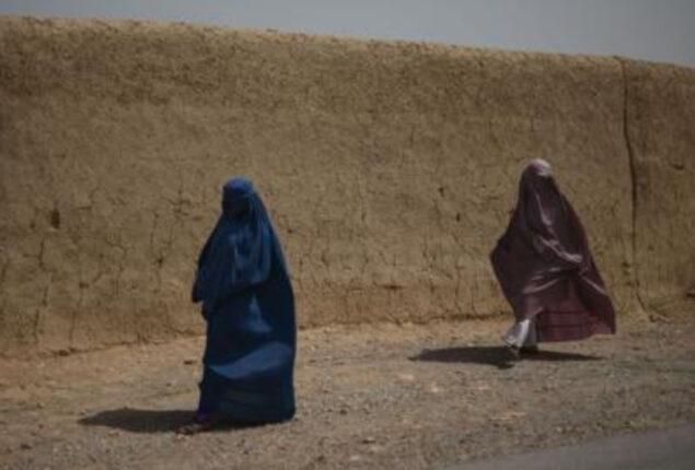 At least dozen foreign NGOs halts activities in Afghanistan