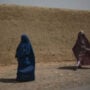 At least dozen foreign NGOs halts activities in Afghanistan