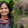 IAS officer looks to tigers and elephants for ‘new year lessons’