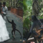 Baby monkey crashes wedding photoshoot, snap with couple