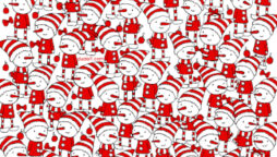 Optical Illusion: Can you locate three candy canes and a bird?