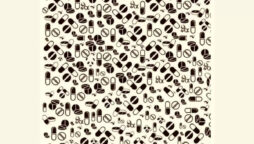 Optical Illusion: Find a panda in 15 seconds
