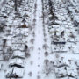 Crews removes snow-covered roadways in Buffalo