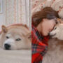 Shiba inu Kabosu who inspired ‘doge’ suffers with leukaemia