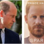 Prince William not ‘scared’ of Prince Harry’s upcoming memoir Spare