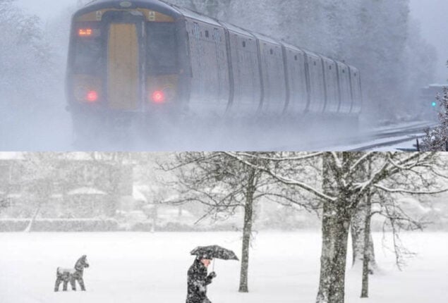 National Trust says UK weather extremes to become new normal