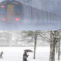 National Trust says UK weather extremes to become new normal