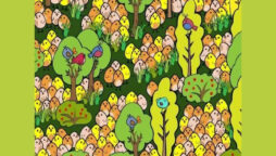 Optical Illusion: Can you spot egg among the chicks in 9 seconds?