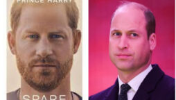 Prince Harry memoir Spare