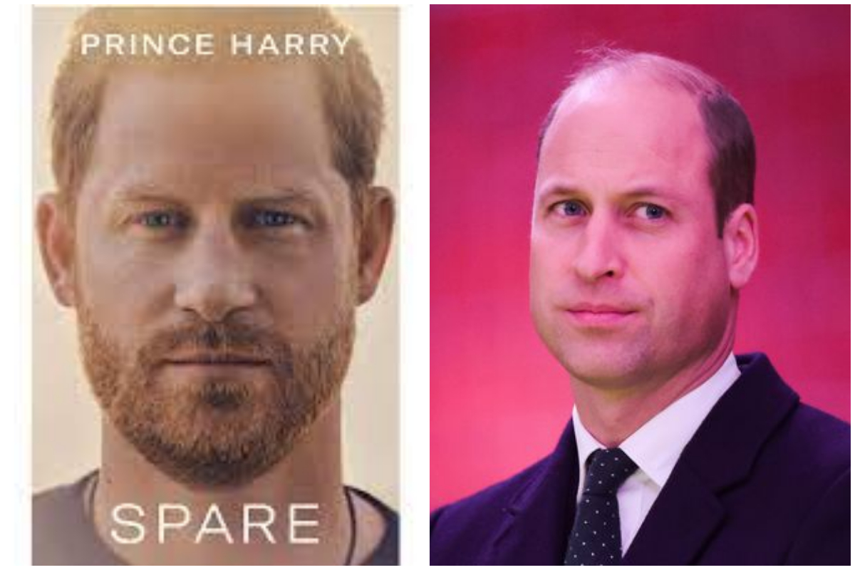 Prince Harry memoir Spare